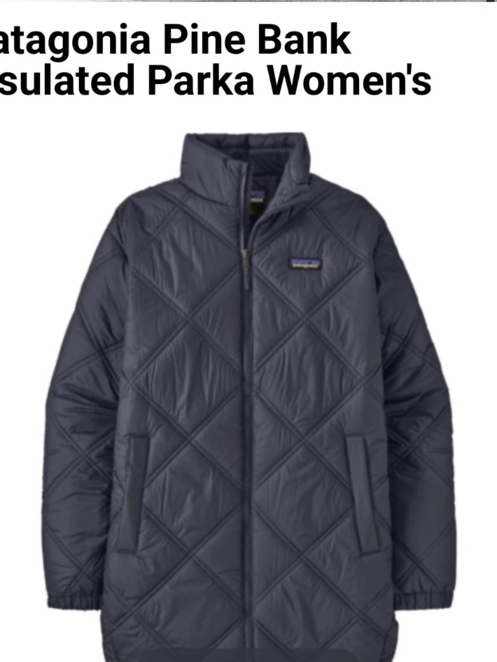 Women’s Small Patagonia pine bank insulated parka